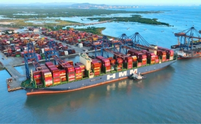 Establishment of Council for appraisal of the policy of building Cai Mep Ha port complex