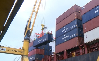 Import and export of goods by container through Nghi Son Port is not as expected