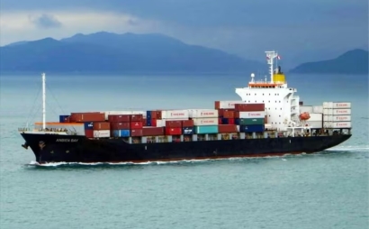 Opening opportunities for container fleet development